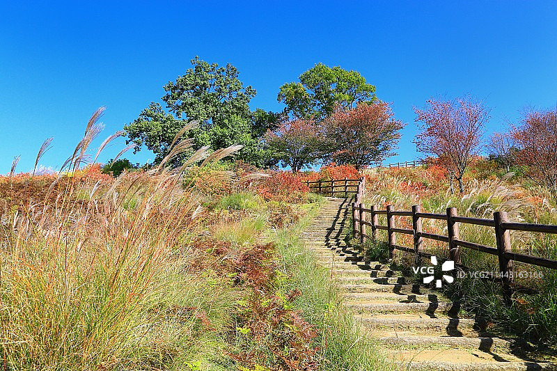 日本奈良若草山秋景图片素材