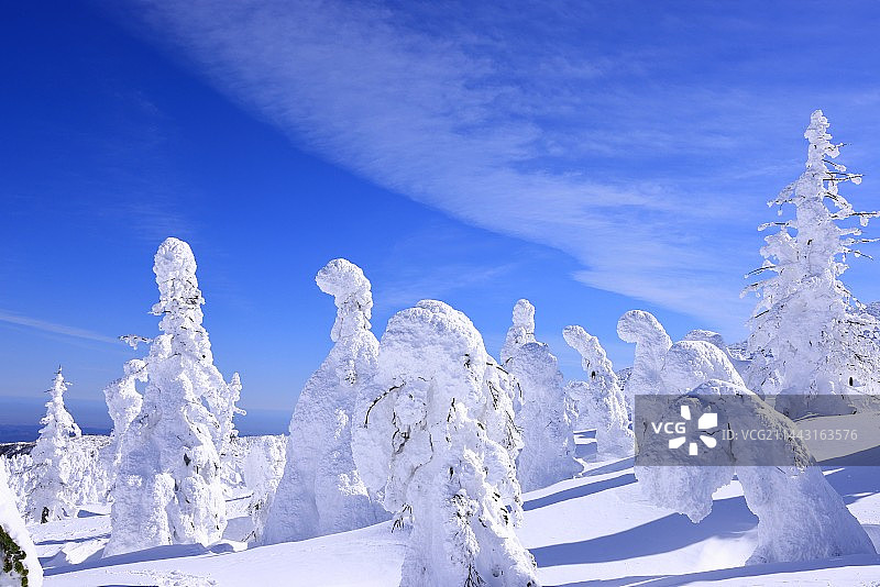 日本山形县藏王树冰图片素材