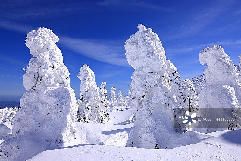 日本山形县藏王树冰图片素材