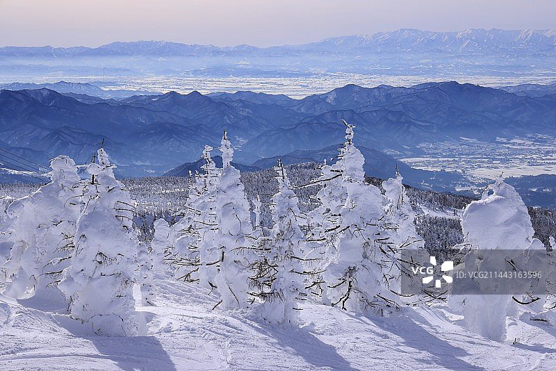 日本山形县藏王树冰图片素材