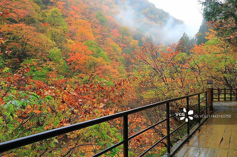 日本秋田县仙北市抱返溪谷图片素材