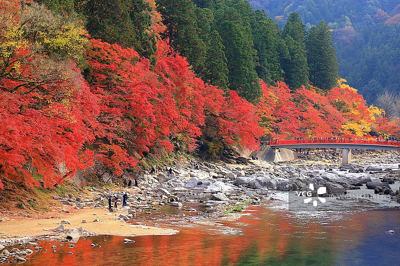 日本香岚溪，爱知县丰田市图片素材