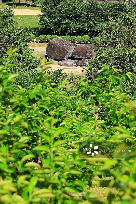 石舞台古墓，日本奈良县高市郡明日香村图片素材