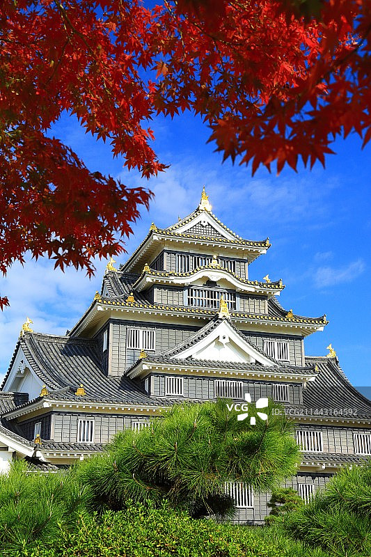 冈山城与秋叶，日本冈山县冈山市图片素材