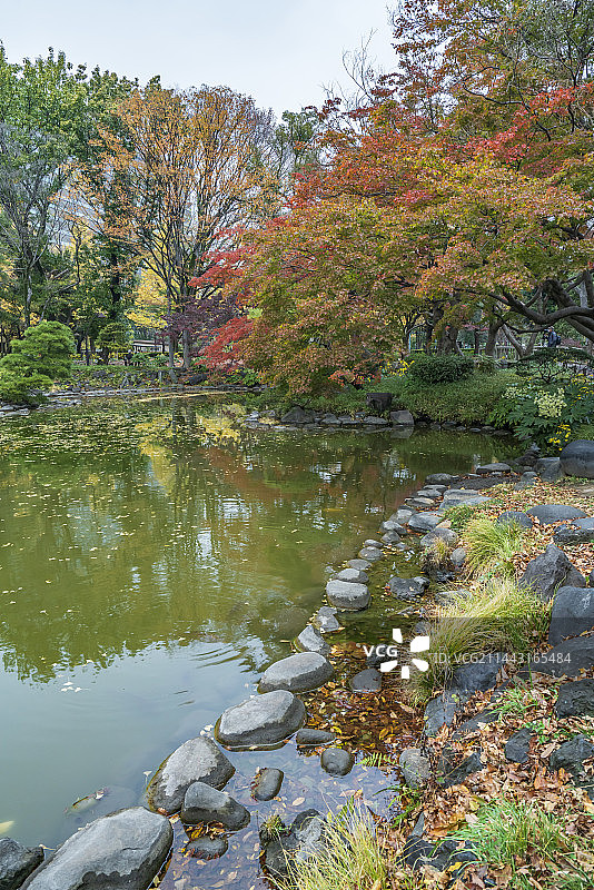 秋季的日比谷公园，东京千代田区图片素材