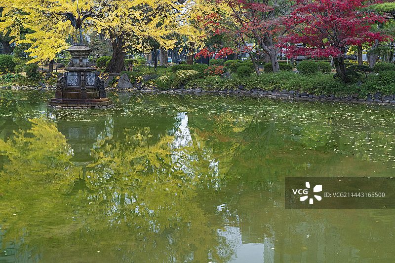秋季的日比谷公园，东京千代田区图片素材