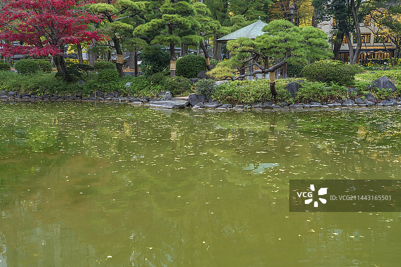 秋季的日比谷公园，东京千代田区图片素材