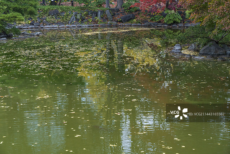 秋季的日比谷公园，东京千代田区图片素材
