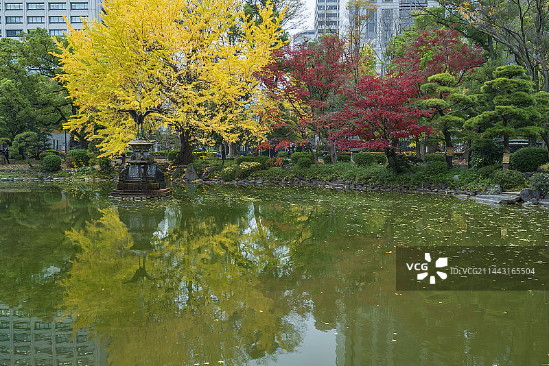 秋季的日比谷公园，东京千代田区图片素材