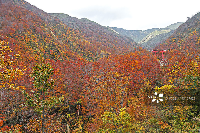 日本山形县鹤冈市汤殿山秋景图片素材