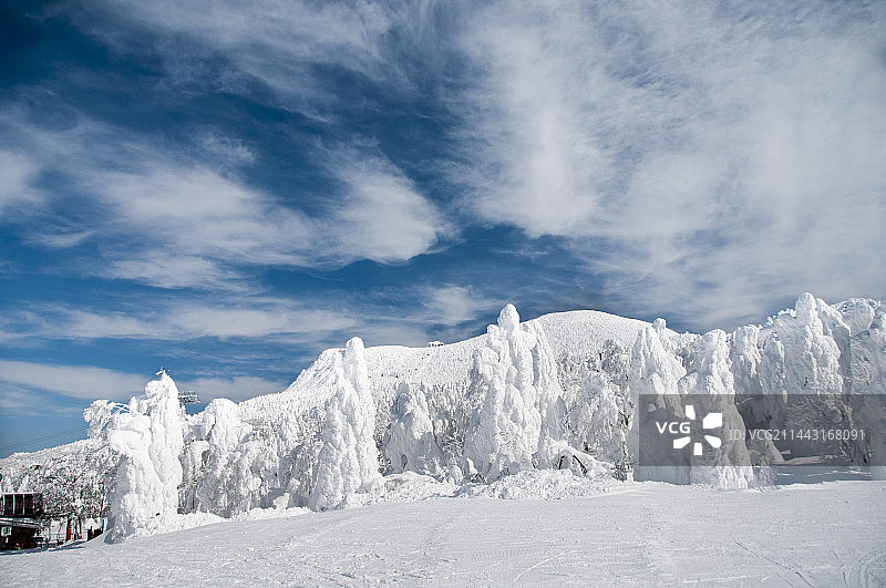日本山形县藏王滑雪场雪坡风光图片素材