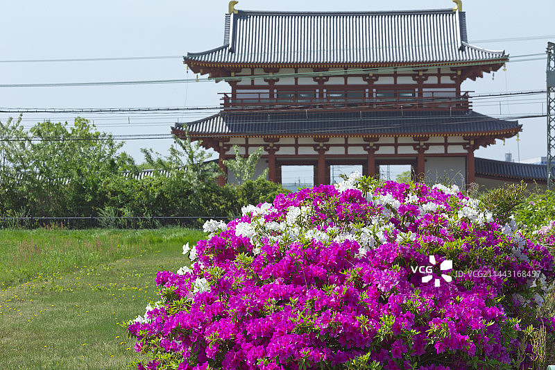 日本奈良朱雀门和杜鹃花图片素材