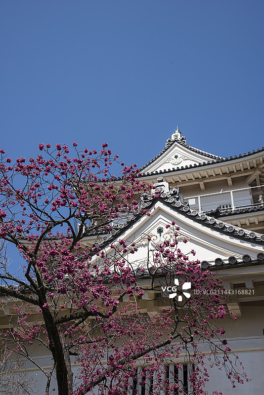 日本小田原市小田原城天守阁，神奈川县图片素材