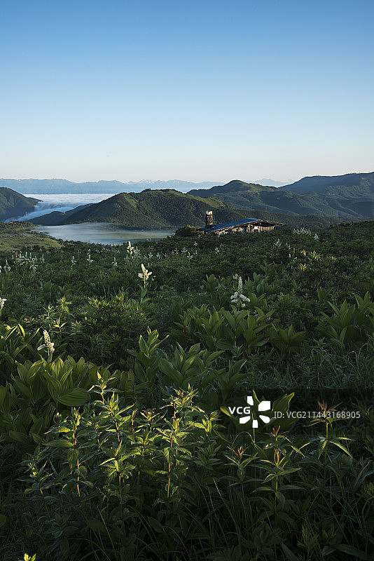 日本长野县诹访初夏的雾峰高原图片素材