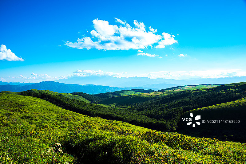 夏季雾峰高原，日本长野县诹访图片素材