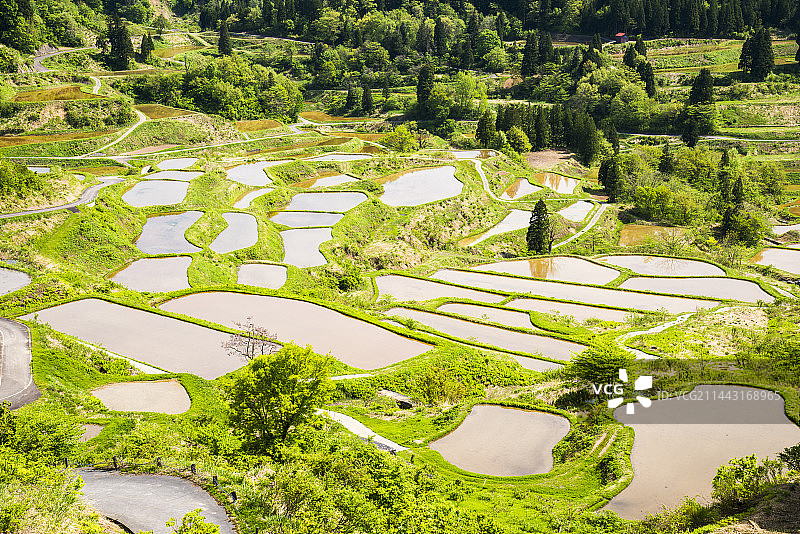 日本新潟县十日町星峠梯田风光图片素材