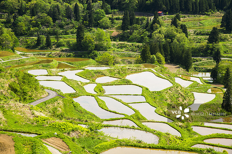 日本新潟县十日町星峠梯田风光图片素材