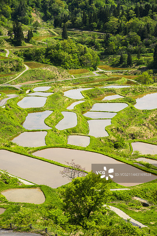 日本新潟县十日町星峠梯田风光图片素材