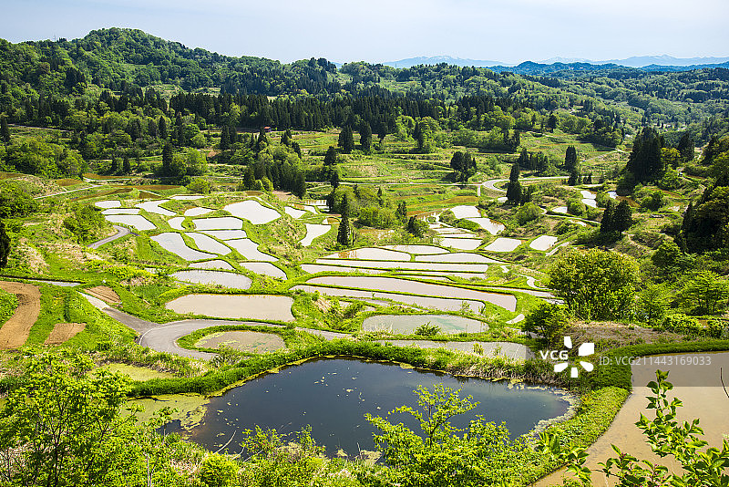 日本新潟县十日町星峠梯田风光图片素材