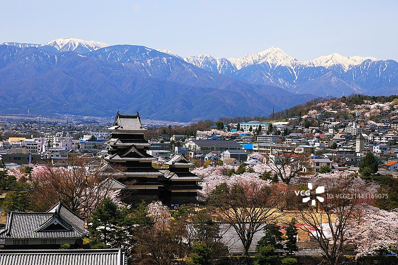 春天里的日本长野县松本市松本城和北阿尔卑斯山图片素材