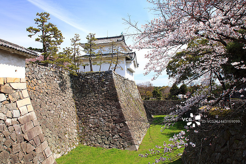 春季日本爱知县名古屋名古屋城图片素材