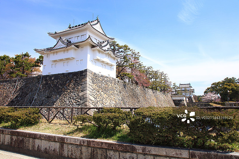 春季日本爱知县名古屋名古屋城图片素材