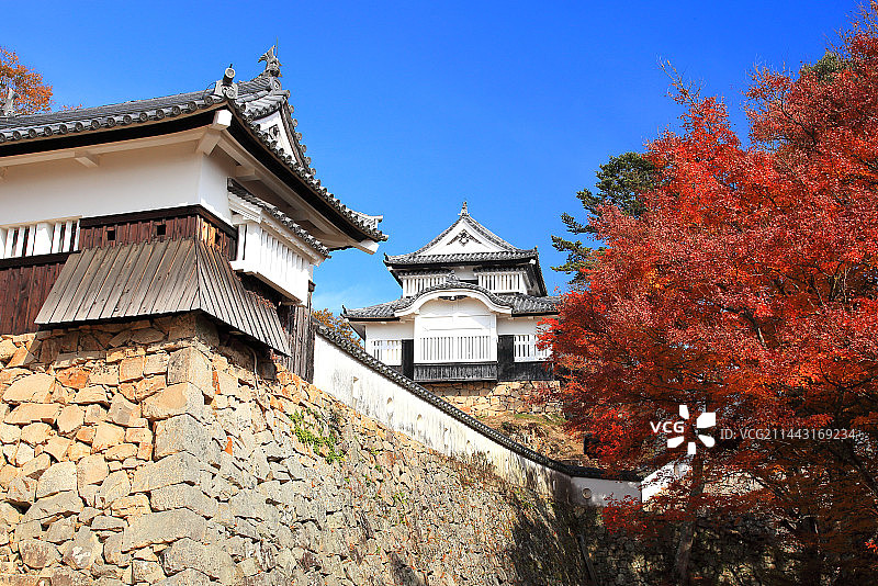 日本冈山县备中松山城秋景图片素材