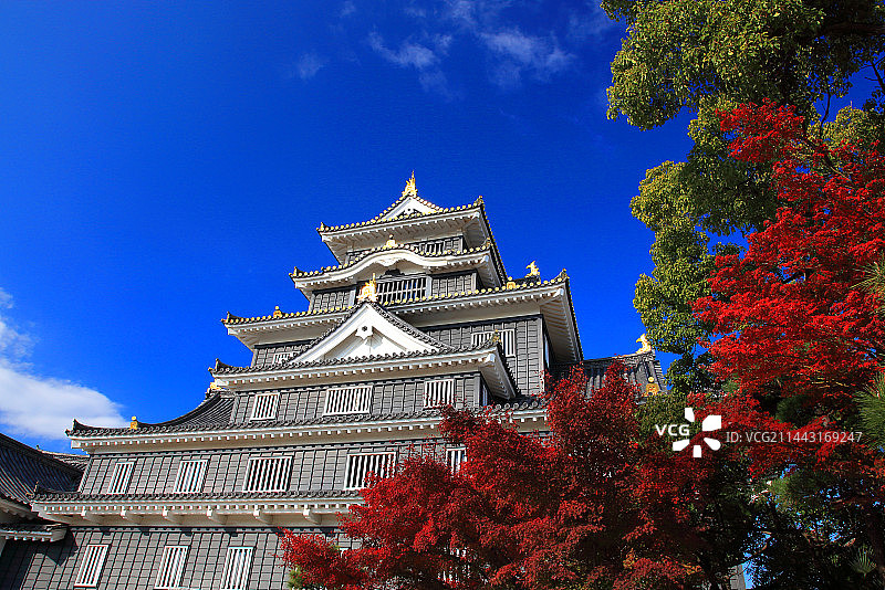 日本冈山城秋日天守阁图片素材