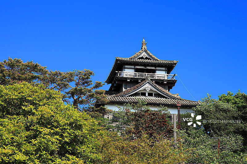 日本福井县坂井市丸冈城天守春景图片素材