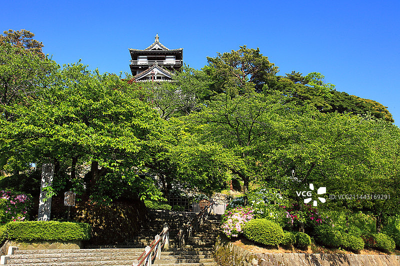 日本福井县坂井市丸冈城天守春景图片素材