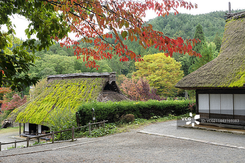日本岐阜县飞驒村秋景图片素材