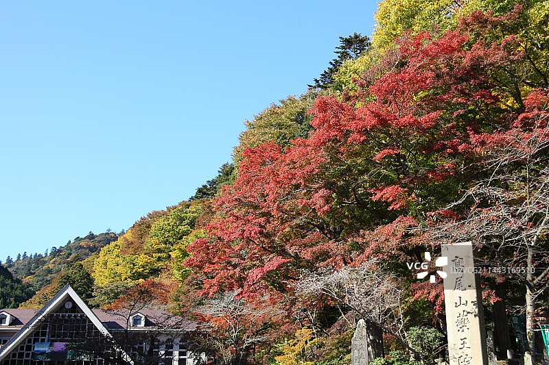 秋季的日本东京八王子高尾山图片素材
