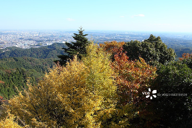 秋季的日本东京八王子高尾山图片素材