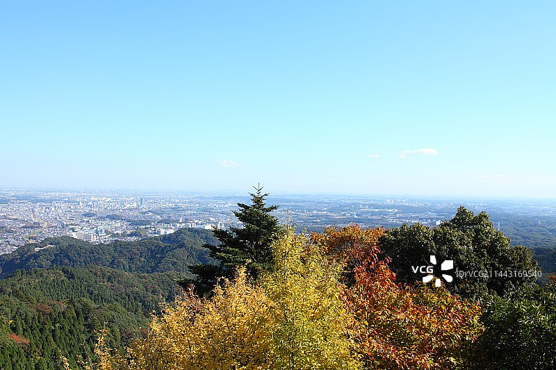 秋季的日本东京八王子高尾山图片素材