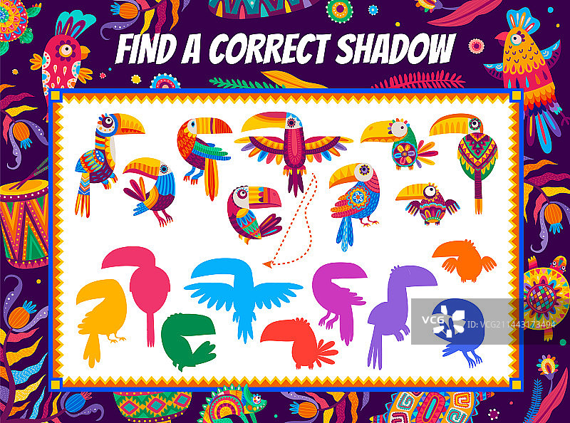 寻找正确的影子：墨西哥和巴西巨嘴鸟图片素材