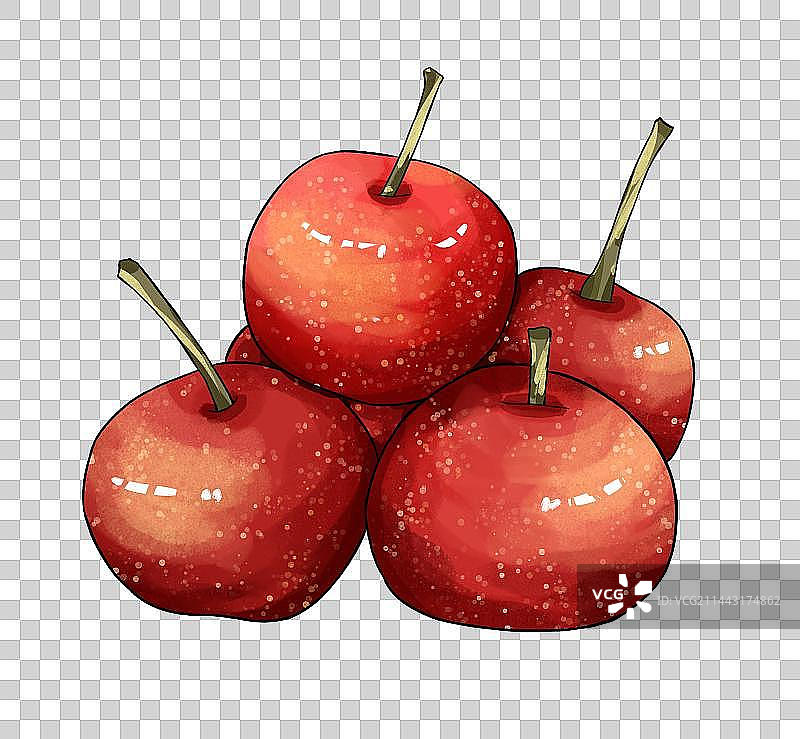 大雪节气山楂水果插画免扣素材图片素材