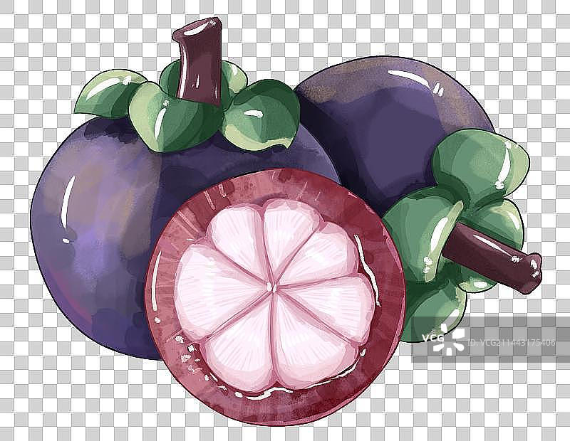 立春节气山竹水果插画免扣素材图片素材