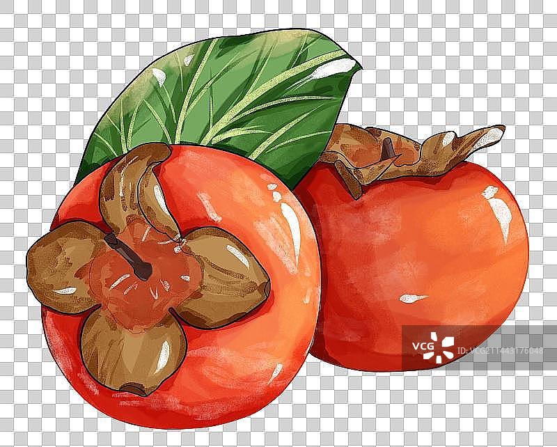 秋分节气柿子水果插画免扣素材图片素材