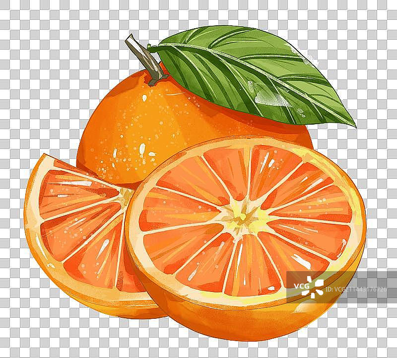 小寒节气橙子水果插画免扣素材图片素材