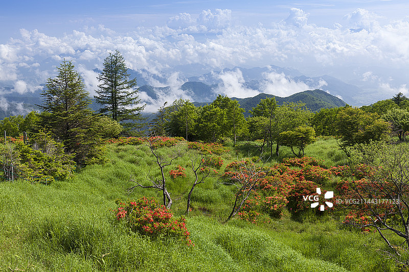 日本长野县美原高原图片素材