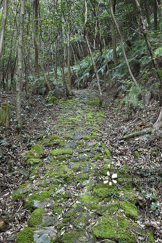 熊野古道大边路砥石谷石板路，日本和歌山县东牟娄郡串本町图片素材