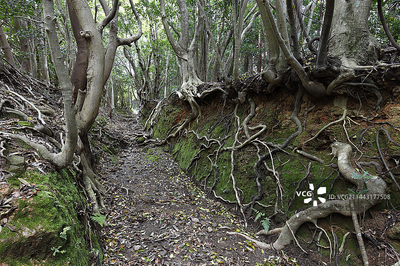 日本和歌山县东牟娄郡串本町熊野古道大边路富山日见路图片素材