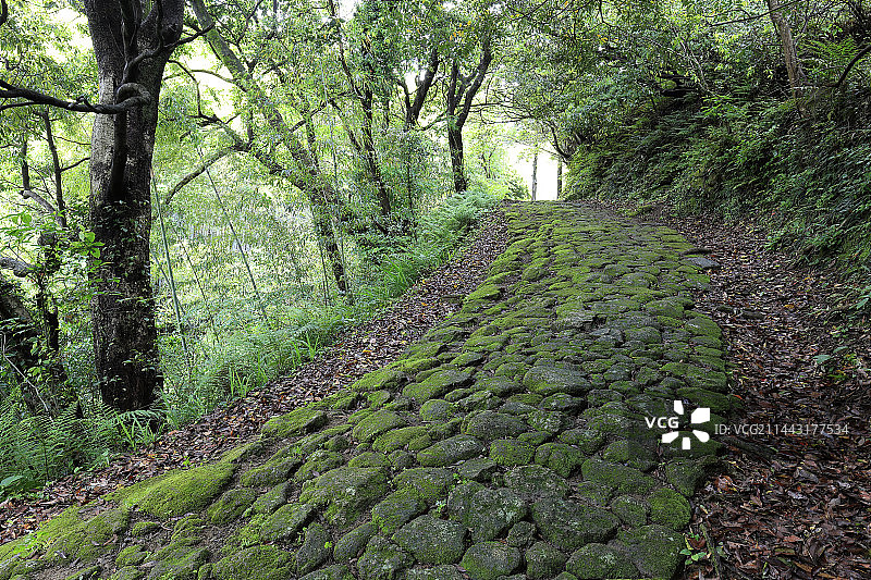 熊野古道高野坂石板路，位于日本和歌山县新宫市图片素材