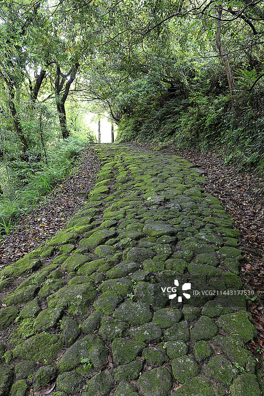 熊野古道高野坂石板路，位于日本和歌山县新宫市图片素材