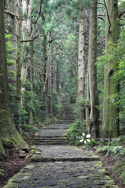 日本和歌山县熊野古道大门坂图片素材