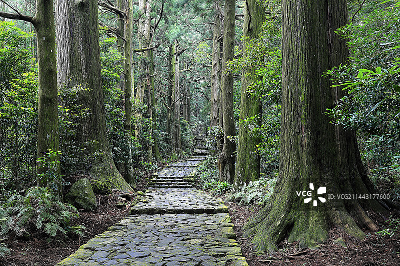 日本和歌山县熊野古道大门坂图片素材