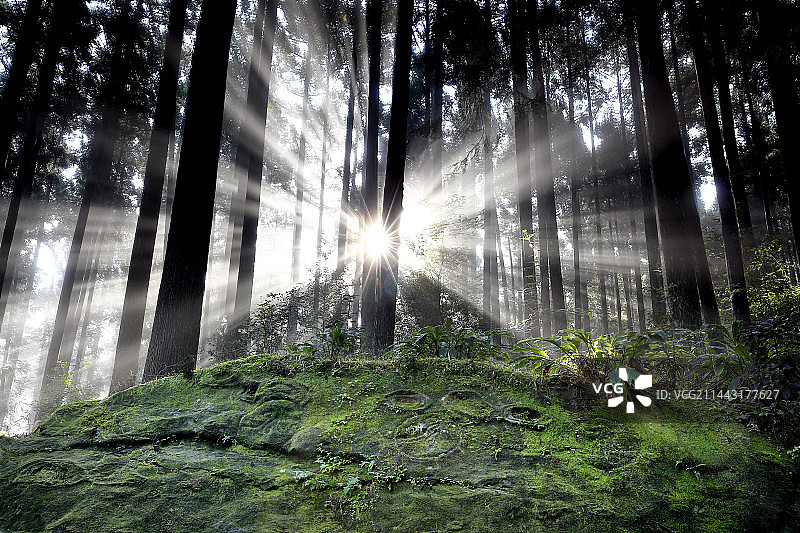 熊野古道中边路圆座石图片素材