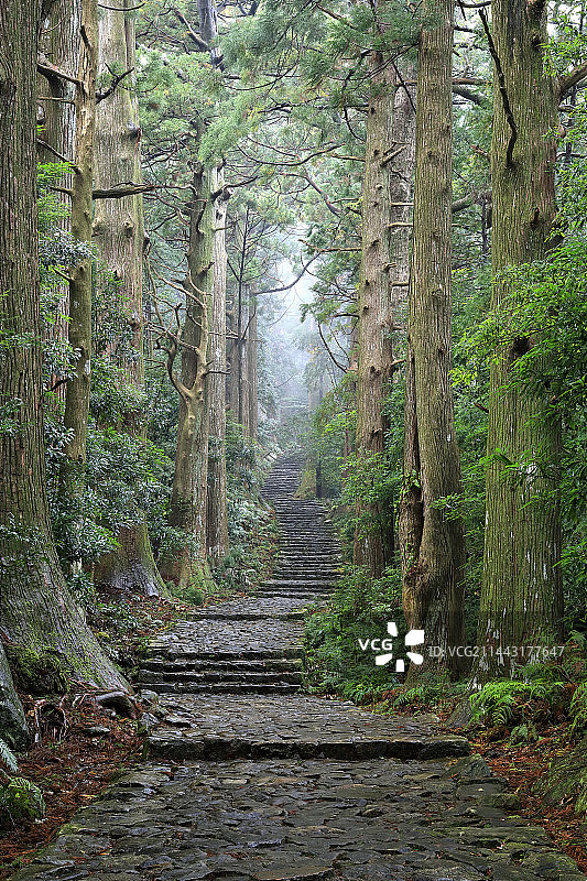 日本和歌山县东牟娄郡熊野那智山大门坂图片素材