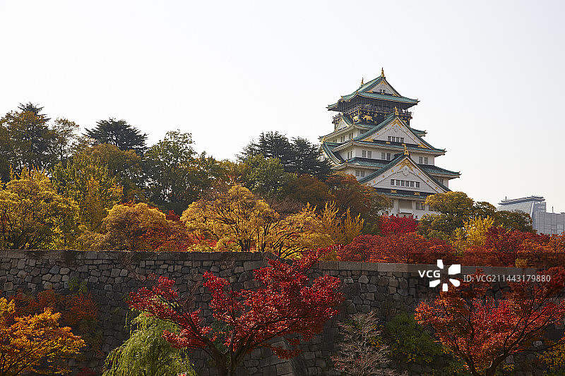 秋季的大阪城，日本大阪府大阪市图片素材