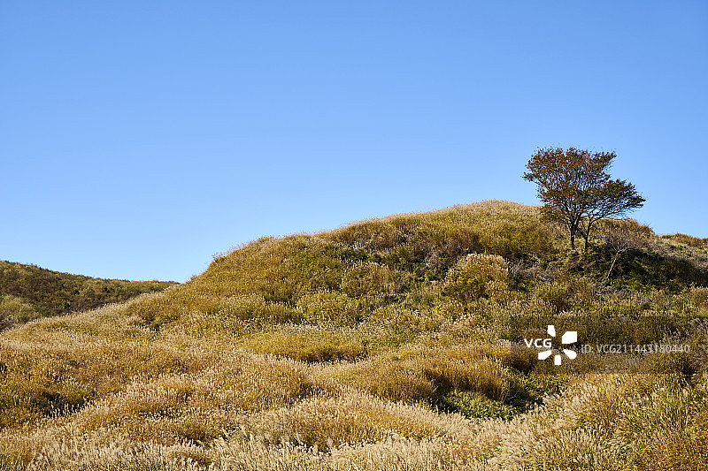 日本熊本县阿苏市草千里图片素材